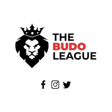 Budo_league_logo